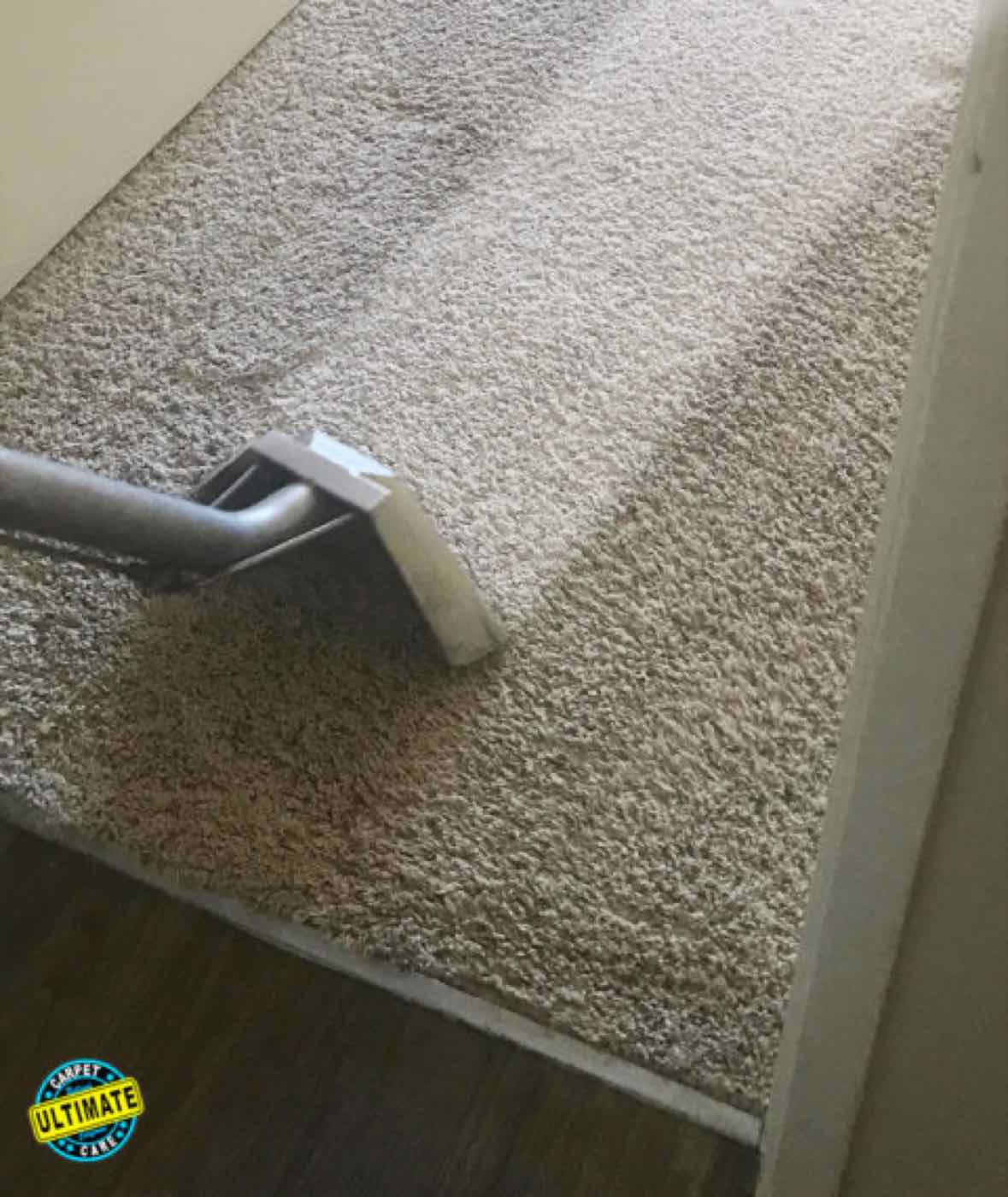 Job photo from Ultimate Carpet Care